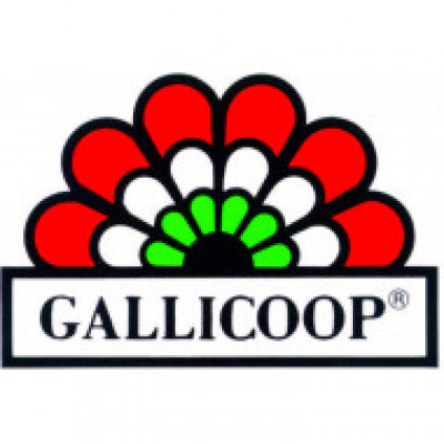 Gallicoop Zrt.